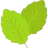 Mint Icon
