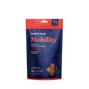 Honest Paws Mobility Soft Chews Front of Package