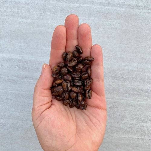 Hand Holding Coffee Beans