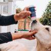 Use CBD Relief Balm for Dry Snout