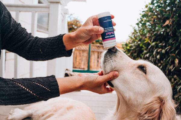 Use CBD Relief Balm for Dry Snout