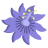 Passion Flower Icon