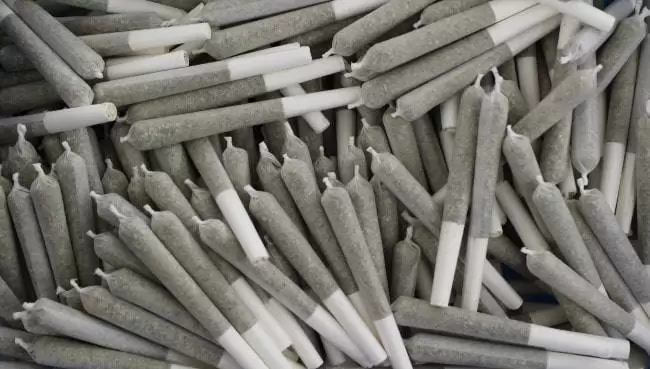 Jack Pot Premium CBD Joints