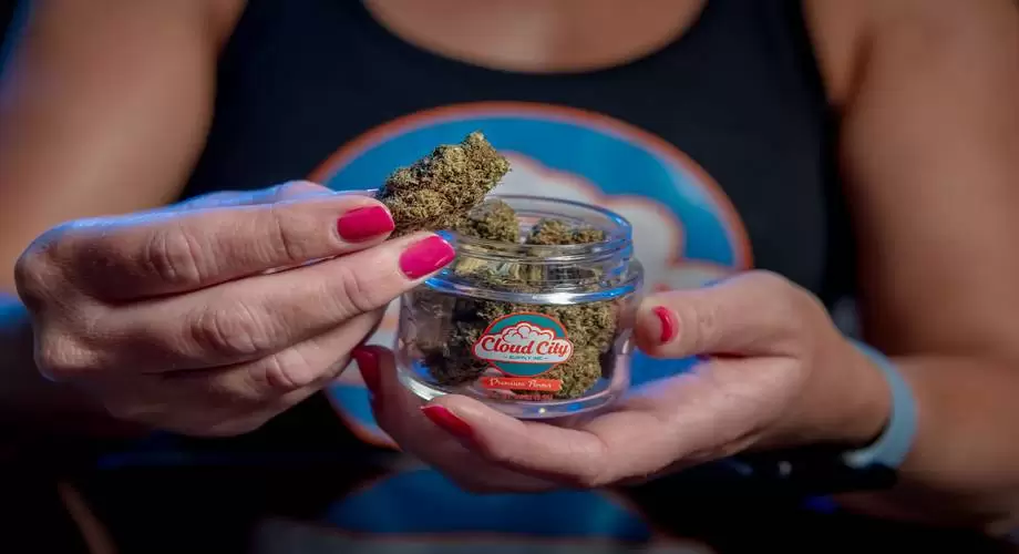hemp vs marijuanas difference