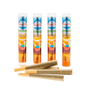 Cloud City Cruiser 1g Premium THCA Pre-Roll