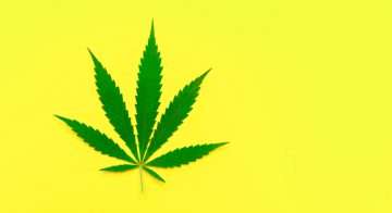 alternative medicine