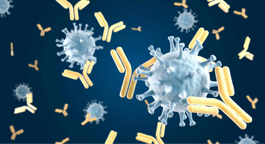 natural immune support
